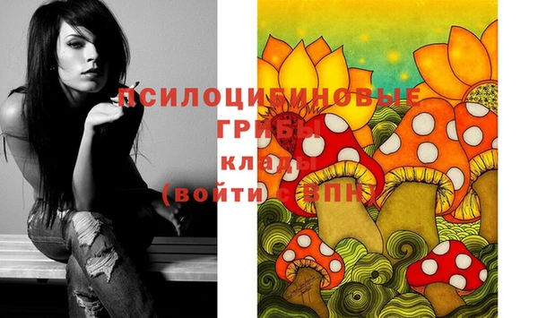 jwh Пролетарск